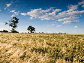 Der Natur so nah - Glamping im Saarland - 2 Tage