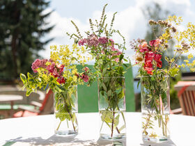 Winterurlaub inmitten der Nockberge - Natur pur mit kulinarischem Genuss | 6 Nächte 