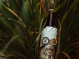 Wandern im Alb-Donau-Kreis