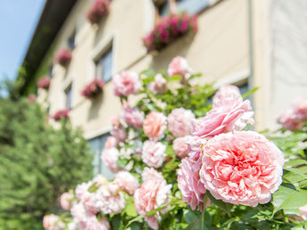 Romantik à la carte – romantischer Kurzurlaub im Herzen der Steiermark
