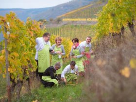 Das Wandern macht am Rheinsteig Lust | 4 Tage am Rhein