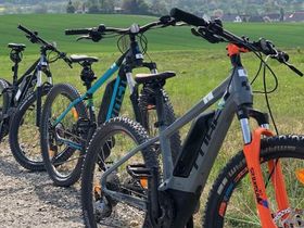 Das Wandern macht am Rheinsteig Lust | 4 Tage am Rhein