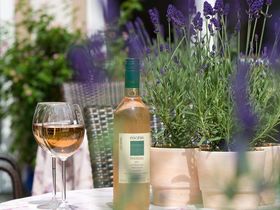 Das Wandern macht am Rheinsteig Lust | 4 Tage am Rhein