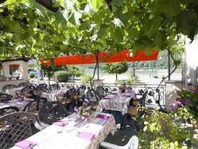 Das Wandern macht am Rheinsteig Lust | 4 Tage am Rhein