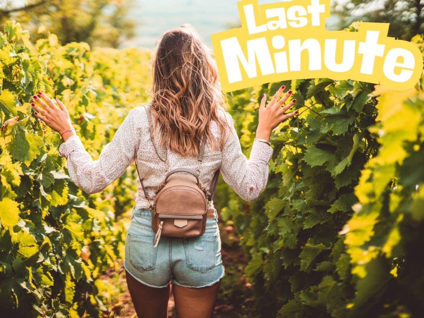 Last Minute im Rheingau / 6 Tage / 5 Nächte 