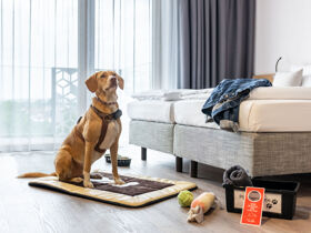 Fahrradgenuss im Kraichgau 