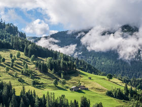 AusZeit im Salzburger Großarltal inkl. Genießerkulinarik | 4 Nächte 