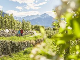 La Bella Vita erleben – Südtirols 4**** MONDI Hotel Tscherms genießen | 3 Nächte