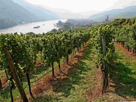 Winterurlaub nahe Wien - Adventzeit im Weinviertel erleben | 1 Nacht