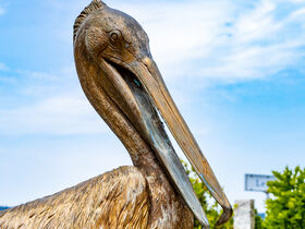 Wellness Balance Tage am Starnberger See