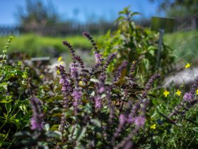 Höchsten Zeit 3 Tage - Übernachtung mit Frühstück in Ilmensee