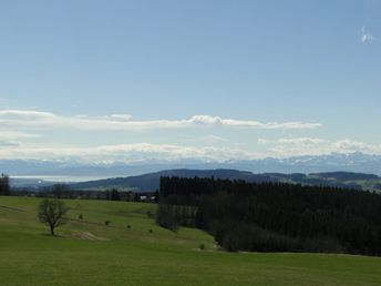 Bild 10 von 30