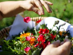 Höchsten Zeit 3 Tage - Übernachtung mit Frühstück in Ilmensee