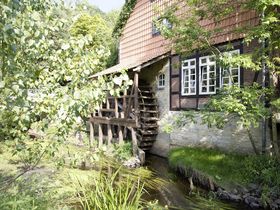 Mühlenschnäppchen | Eine Nacht