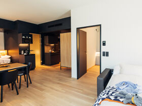 Harry´s Home Styer -  4 Tage Harry's 3=2 Special