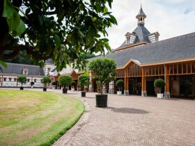Entspannung und Natur in der Provinz Garderen Niederlande 