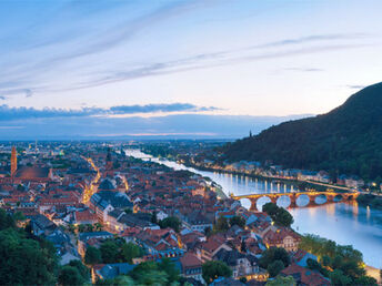 Bild 20 von 20