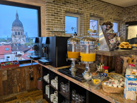 2 Tage Kurzurlaub in Mainz- Auszeit vom Alltag am Rhein