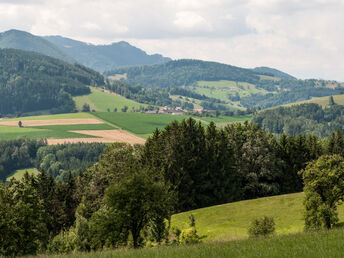 Bild 24 von 35