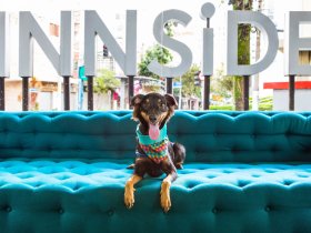 Aktive Auszeit in Luxemburg inkl. Leihfahrrad - 3 Tage