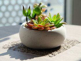 Koblenz entdecken - 3 Tage inkl. Seilbahn und Festung Ehrenbreitstein