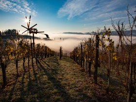 Weingenuss mit Wellness in der  Südsteiermark | 2 Nächte | Adults Only 2