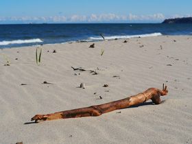 Im Winter die Ostsee auf Rügen genießen - 5 Nächte inkl. Halbpension & Sauna 
