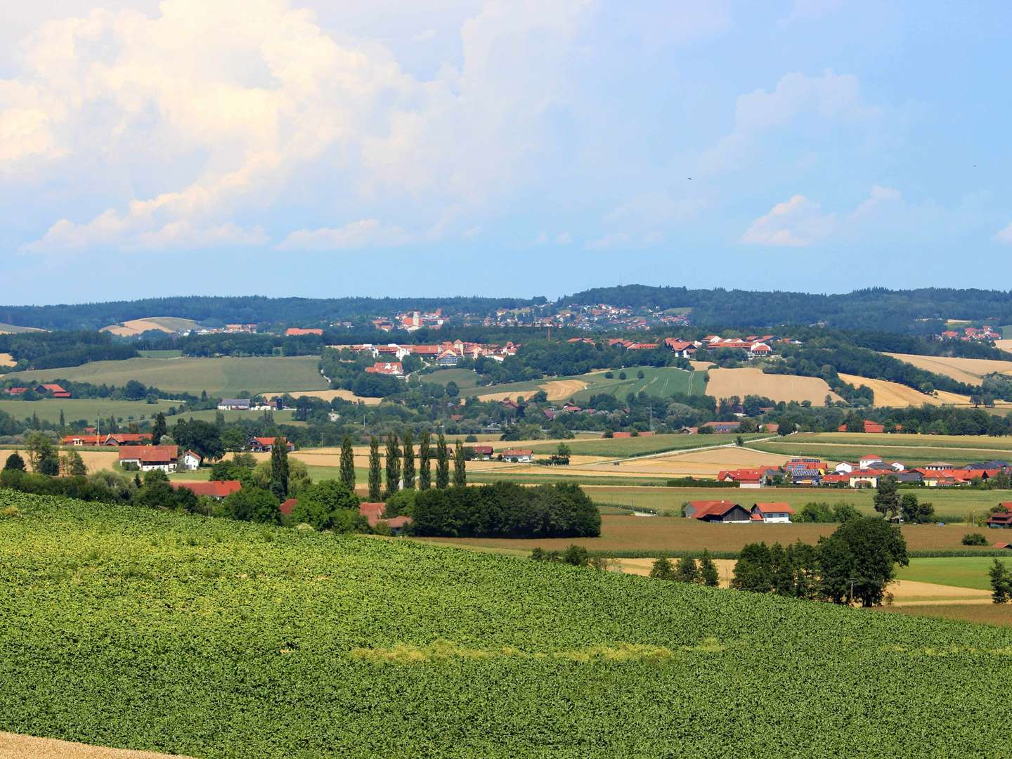 Wellness Therme  2 Tage 2025