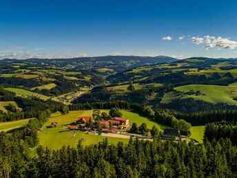Bild 11 von 30