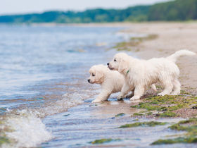 Hafen, Strand, Wind & Weite - 3 Tage Kurzurlaub an der Ostsee