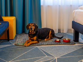 2 Tage Bergidylle in der Alpenstadt Bad Reichenhall 2