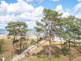 Märchenland aus Sand - Sand Skulpturen Ausstellung in Prora  | 5 Tage