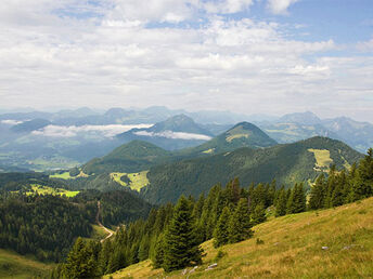 Bild 17 von 19