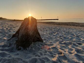 Bild 29 von 36