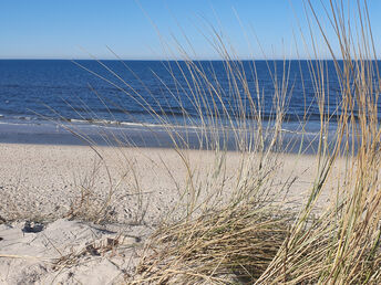 300 Meter vom Strand und Kieferwald | 3 Tage