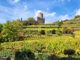 Schnuppertage Baden-Elsass mit Straßbourg- 3 Tage