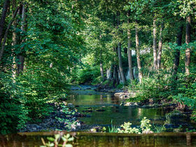 Kleine Wellness- Auszeit in Bad Lauterberg im Harz |6 Tage     