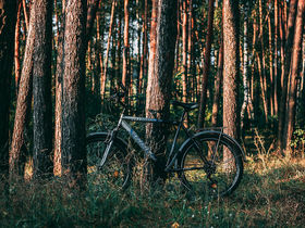 Kleine Wellness- Auszeit in Bad Lauterberg im Harz |6 Tage     