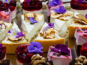 Kurztrip nach Ungarn - Sárvár entdecken & erleben | 5 Nächte