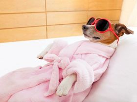 4 Tage Entspannung im Marienbad mit Frühstück 