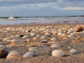 Wanderung am Ostsee-Strand | 3 ÜF