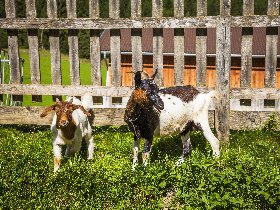 Sommerurlaub im Lungau - Schnapp Kinder & Freunde für euer Abenteuer | 3 Nächte