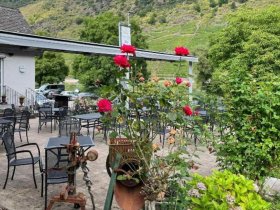 Mosel & Wein - 5 Tage Genuss