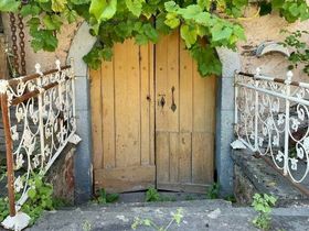 Moselurlaub 4 Tage inkl. Wein & Gästeticket