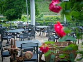 Moselurlaub 4 Tage inkl. Wein & Gästeticket