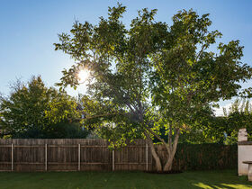 Ostern in Lutzmannsburg mit Osternest & Osterfeuer