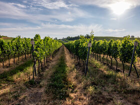 Ostern in Lutzmannsburg mit Osternest & Osterfeuer