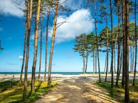 Wellness Urlaub in Jershöft | 3 Tage