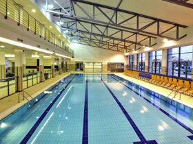 Relaxurlaub in Sárvár mit Botanischem Garten & Halbpension | 2 Nächte