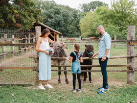 Relaxurlaub in Sárvár mit Botanischem Garten & Halbpension | 2 Nächte